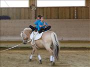 voltitag 2009 _CD1 123